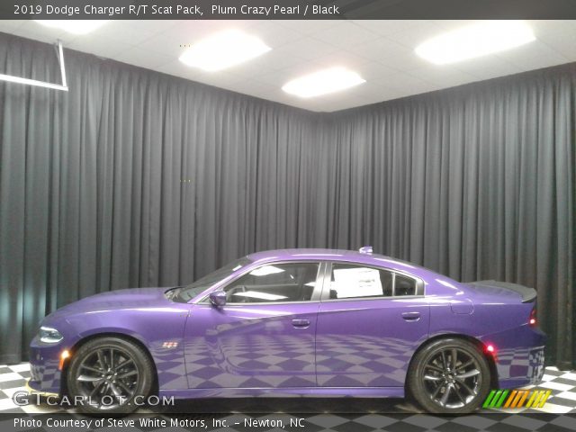 2019 Dodge Charger R/T Scat Pack in Plum Crazy Pearl