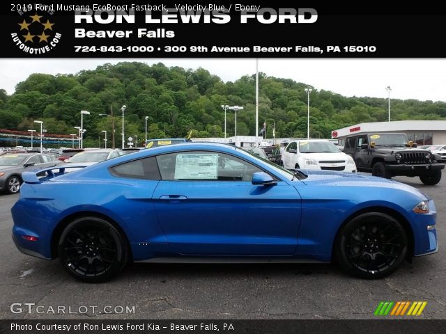 2019 Ford Mustang EcoBoost Fastback in Velocity Blue