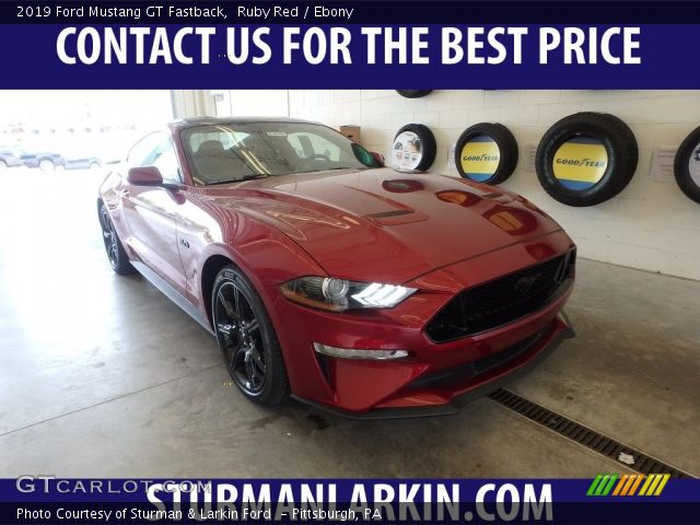 2019 Ford Mustang GT Fastback in Ruby Red