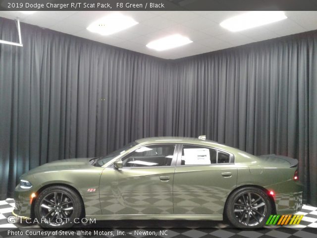 2019 Dodge Charger R/T Scat Pack in F8 Green