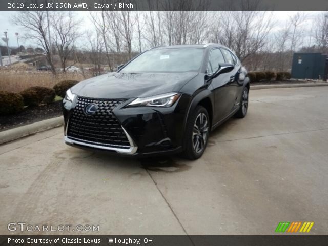 2019 Lexus UX 250h AWD in Caviar