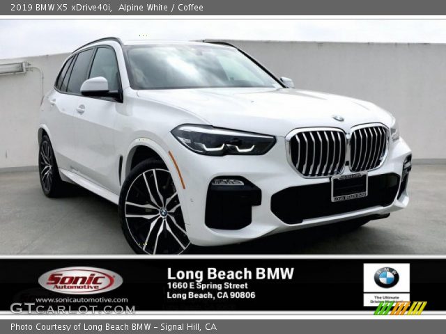 2019 BMW X5 xDrive40i in Alpine White