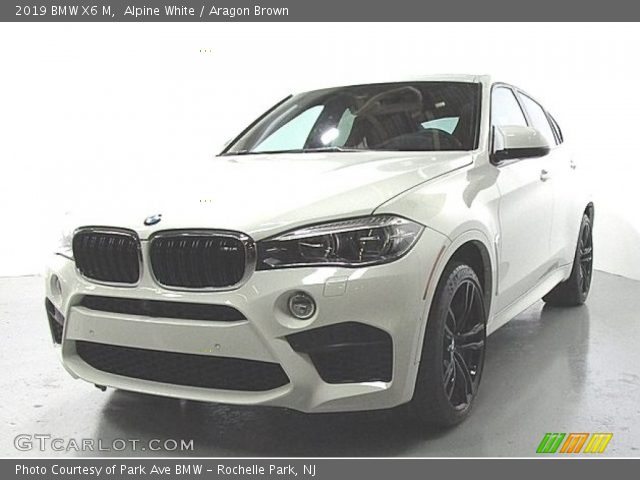 2019 BMW X6 M  in Alpine White