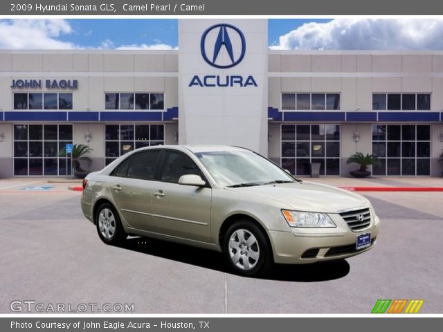 2009 Hyundai Sonata GLS in Camel Pearl