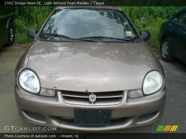 2002 Dodge Neon SE in Light Almond Pearl Metallic
