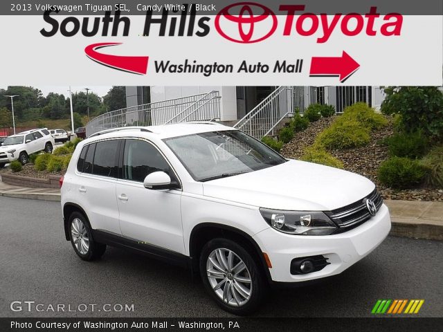 2013 Volkswagen Tiguan SEL in Candy White