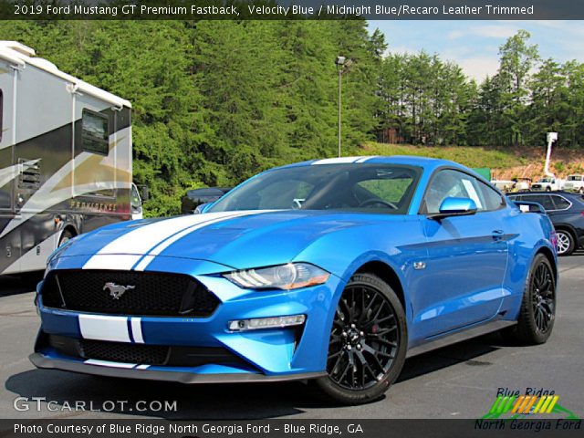 2019 Ford Mustang GT Premium Fastback in Velocity Blue