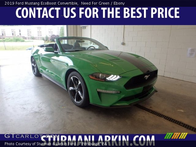 2019 Ford Mustang EcoBoost Convertible in Need For Green