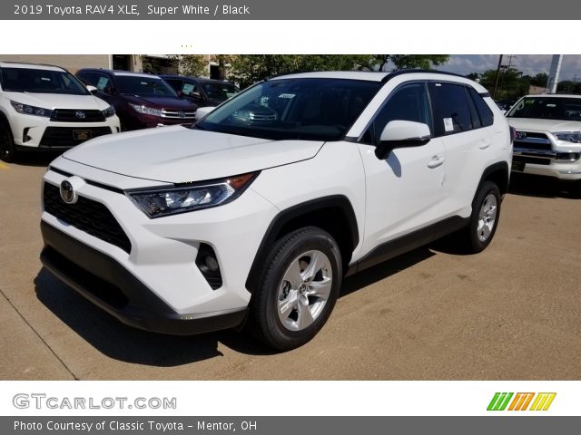2019 Toyota RAV4 XLE in Super White