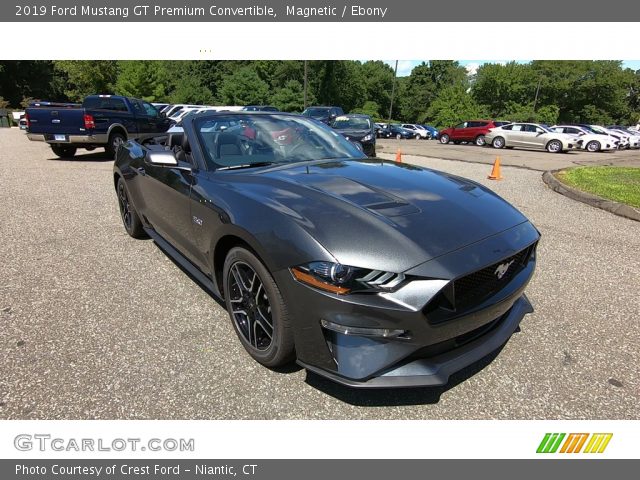 2019 Ford Mustang GT Premium Convertible in Magnetic
