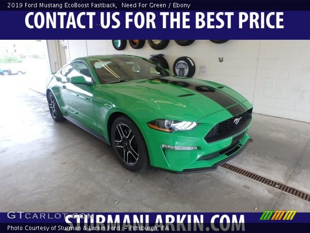 2019 Ford Mustang EcoBoost Fastback in Need For Green