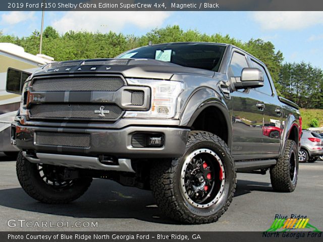 2019 Ford F150 Shelby Cobra Edition SuperCrew 4x4 in Magnetic