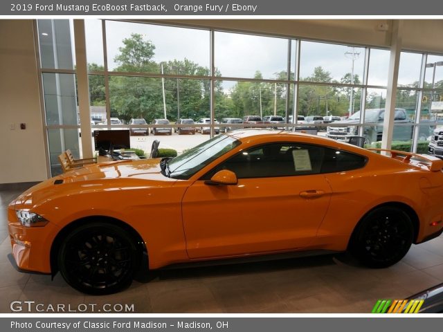 2019 Ford Mustang EcoBoost Fastback in Orange Fury