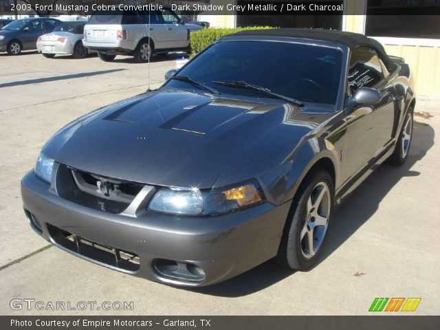 2003 Ford Mustang Cobra Convertible in Dark Shadow Grey Metallic