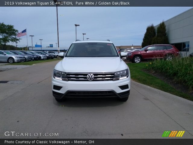 2019 Volkswagen Tiguan SE 4MOTION in Pure White