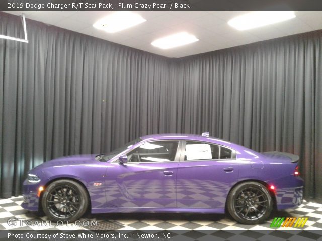 2019 Dodge Charger R/T Scat Pack in Plum Crazy Pearl