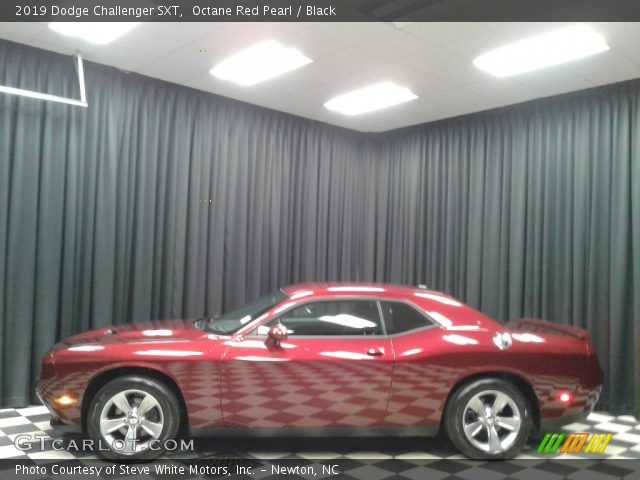 2019 Dodge Challenger SXT in Octane Red Pearl