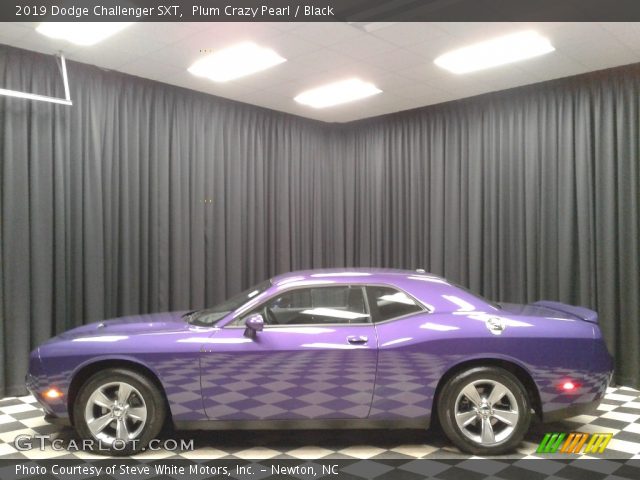 2019 Dodge Challenger SXT in Plum Crazy Pearl