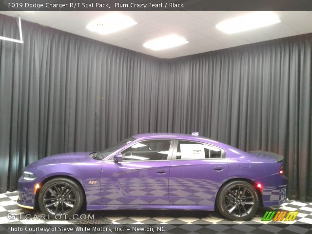 2019 Dodge Charger R/T Scat Pack in Plum Crazy Pearl
