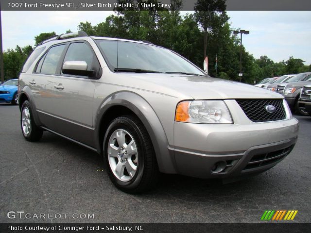 2007 Ford Freestyle SEL in Silver Birch Metallic