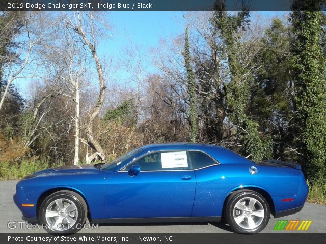 2019 Dodge Challenger SXT in Indigo Blue