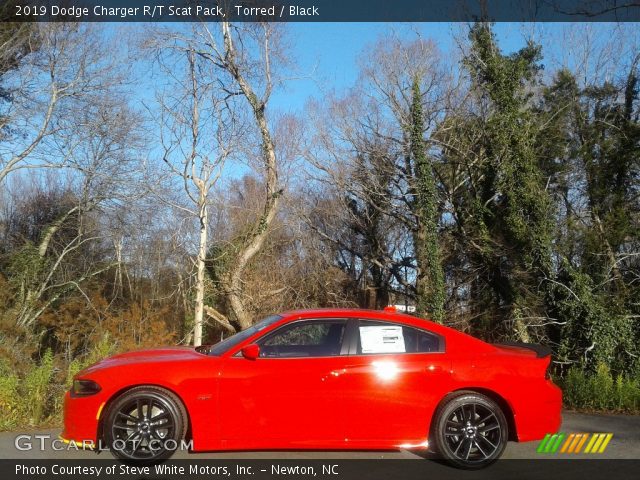 2019 Dodge Charger R/T Scat Pack in Torred