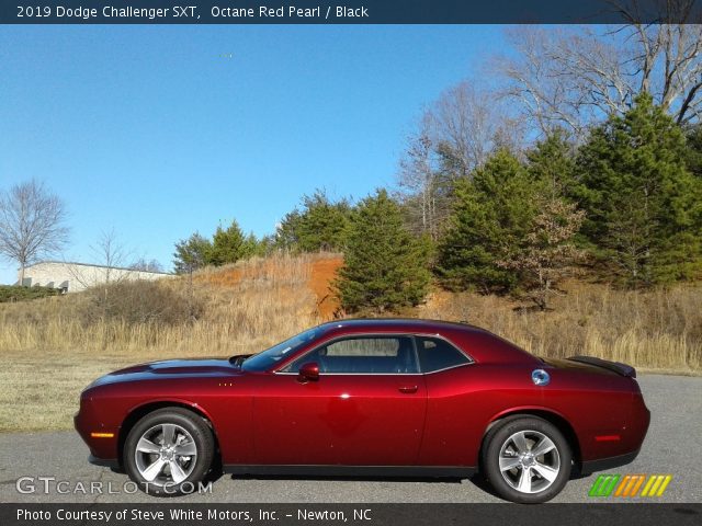 2019 Dodge Challenger SXT in Octane Red Pearl