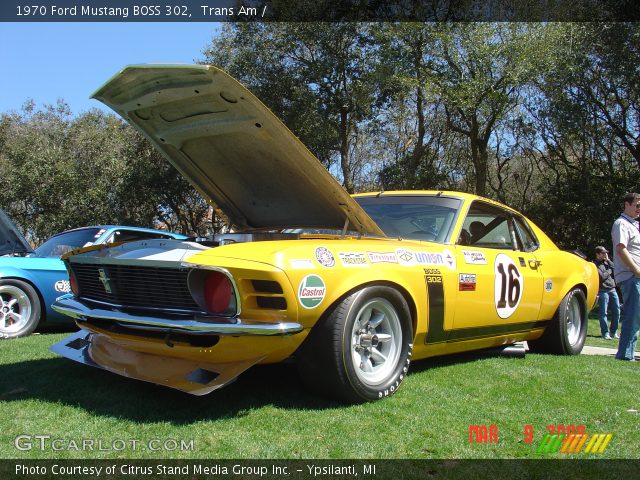 1970 Ford Mustang BOSS 302 in Trans Am