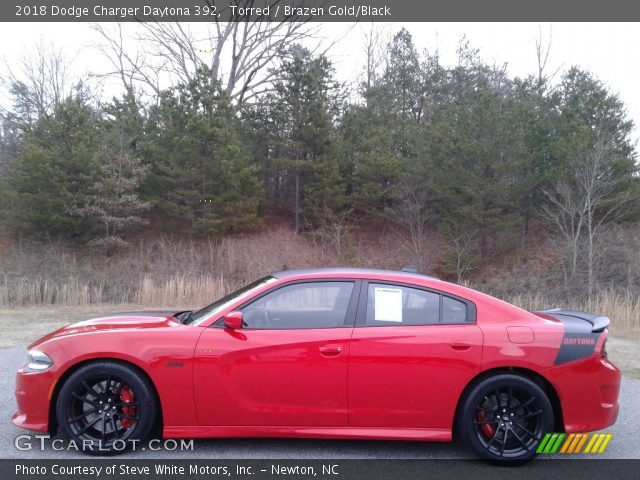 2018 Dodge Charger Daytona 392 in Torred