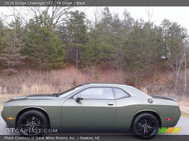 2018 Dodge Challenger SXT in F8 Green