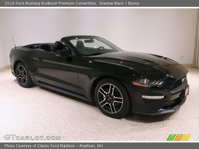 2019 Ford Mustang EcoBoost Premium Convertible in Shadow Black