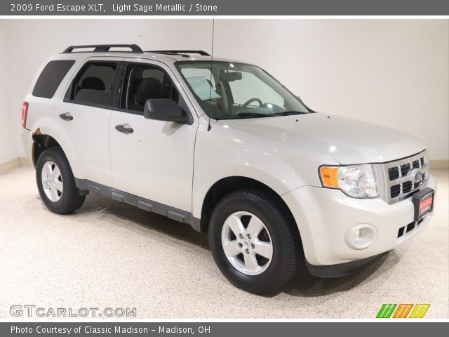 2009 Ford Escape XLT in Light Sage Metallic