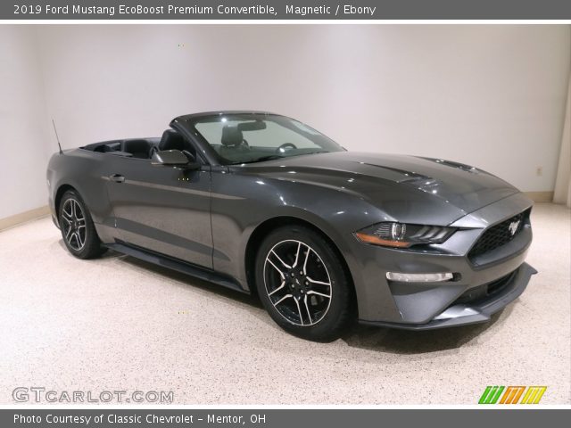 2019 Ford Mustang EcoBoost Premium Convertible in Magnetic