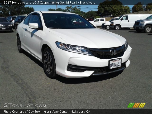 2017 Honda Accord LX-S Coupe in White Orchid Pearl