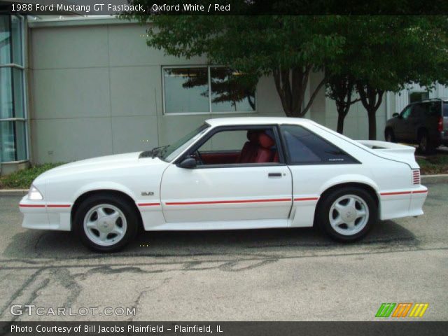 1988 Ford Mustang GT Fastback in Oxford White