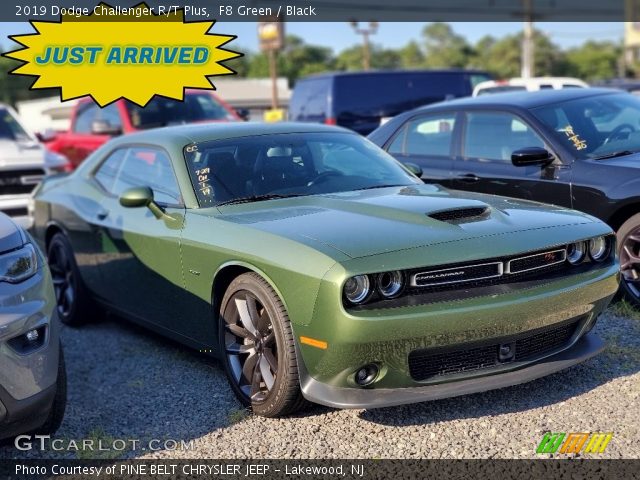 2019 Dodge Challenger R/T Plus in F8 Green