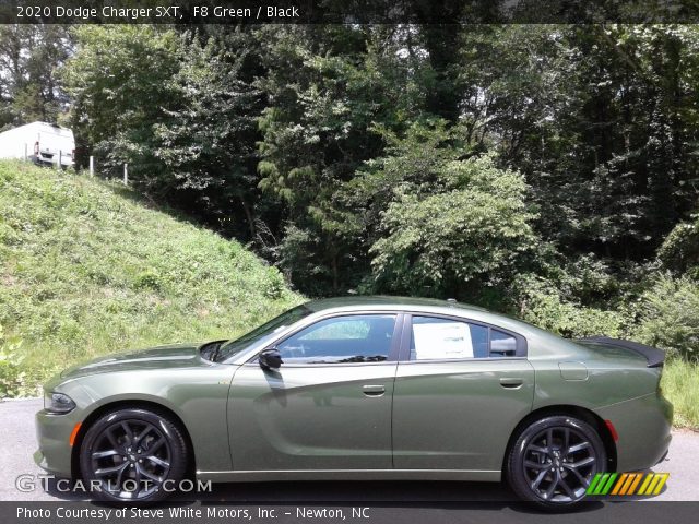 2020 Dodge Charger SXT in F8 Green