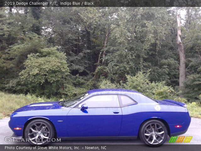2019 Dodge Challenger R/T in Indigo Blue