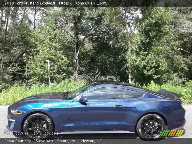 2019 Ford Mustang EcoBoost Fastback in Kona Blue