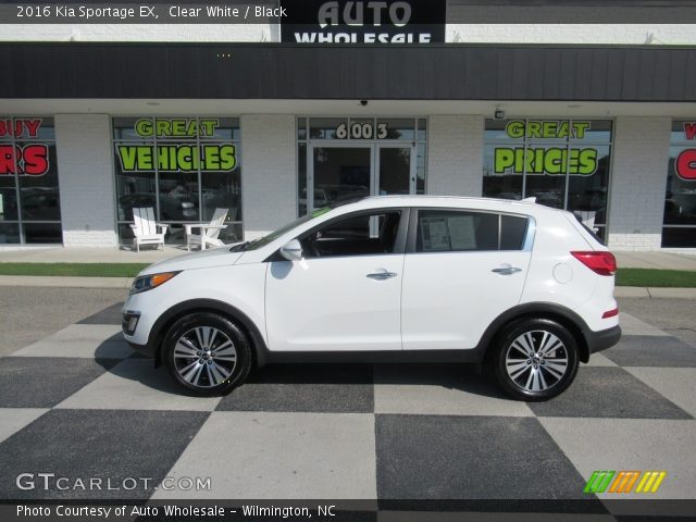 2016 Kia Sportage EX in Clear White