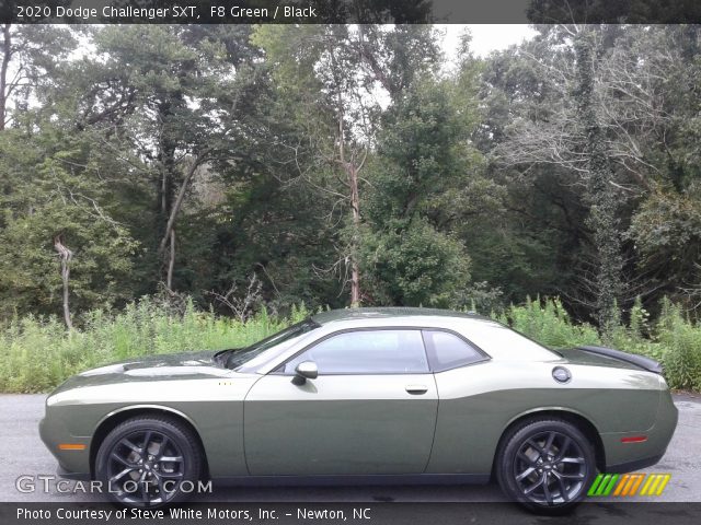 2020 Dodge Challenger SXT in F8 Green