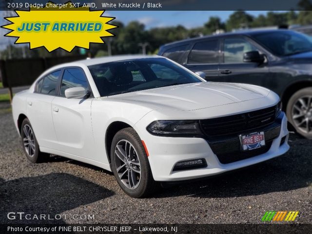2019 Dodge Charger SXT AWD in White Knuckle