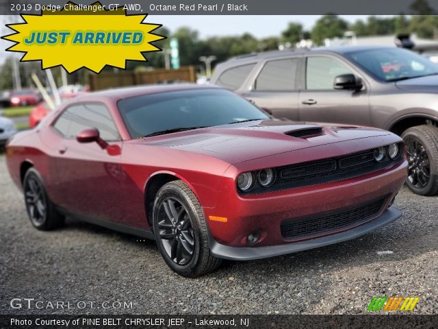 2019 Dodge Challenger GT AWD in Octane Red Pearl
