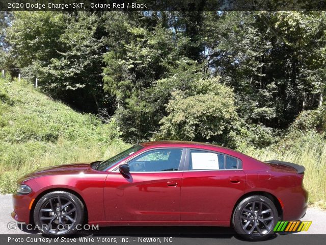 2020 Dodge Charger SXT in Octane Red