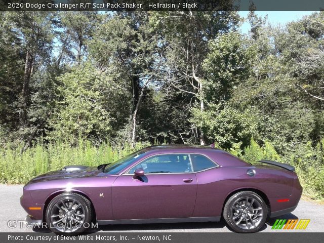 2020 Dodge Challenger R/T Scat Pack Shaker in Hellraisin