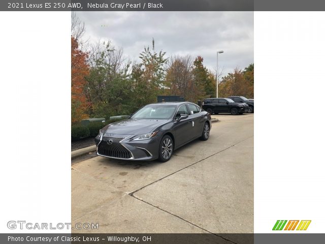 2021 Lexus ES 250 AWD in Nebula Gray Pearl