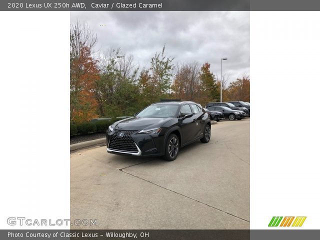 2020 Lexus UX 250h AWD in Caviar