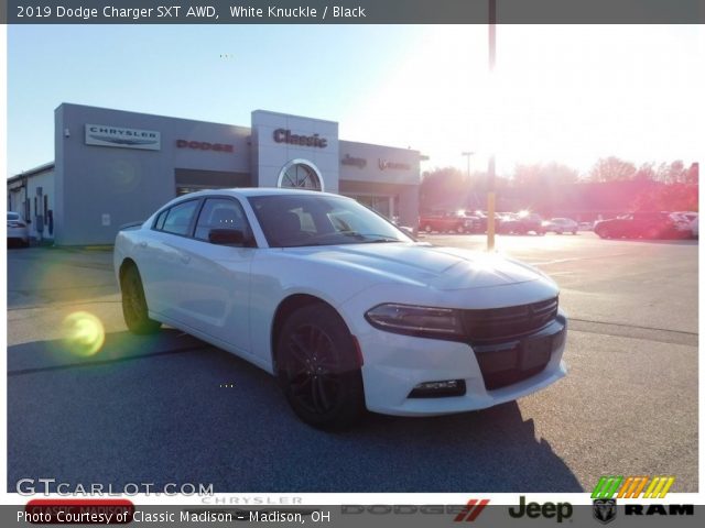2019 Dodge Charger SXT AWD in White Knuckle