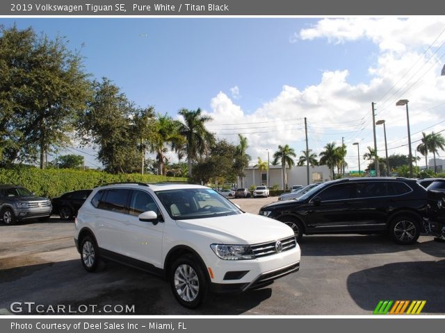 2019 Volkswagen Tiguan SE in Pure White