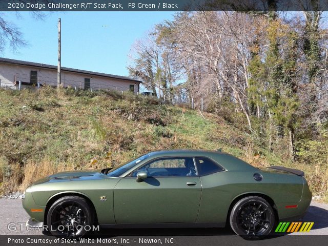 2020 Dodge Challenger R/T Scat Pack in F8 Green